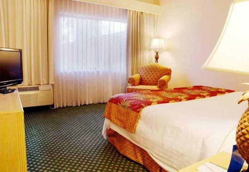 Courtyard By Marriott Fort Lauderdale קורל ספרינגס מראה חיצוני תמונה